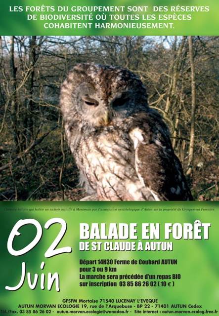 Affiche pour l'AG du GFSFM juin 07